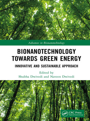 cover image of Bionanotechnology Towards Green Energy
